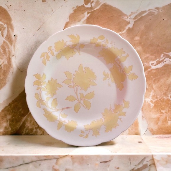 Rare Vtg Wedgwood Bone China Set of 2 11” Dinner Plates WW516 Yellow Floral - Picture 1 of 7